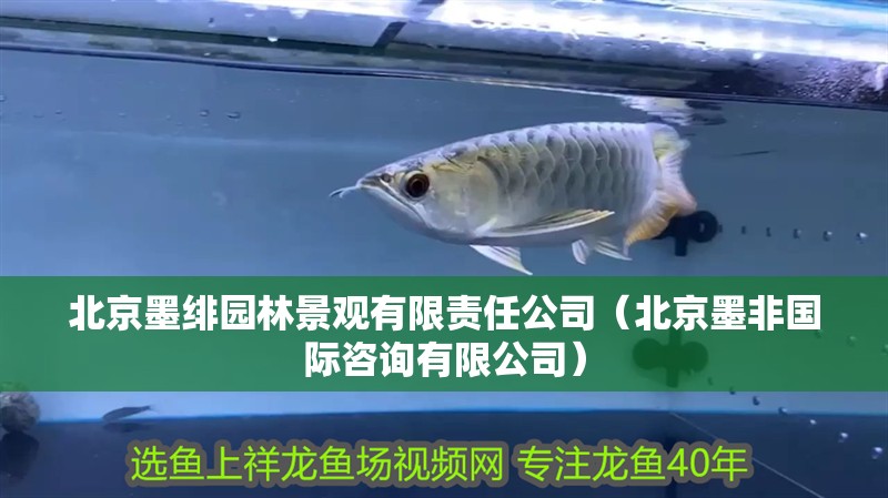 北京墨緋園林景觀有限責任公司（北京墨非國際咨詢有限公司） 北京墨緋園林景觀有限責任公司（北京墨非國際咨詢有限公司） 全國水族館企業名錄 第1張