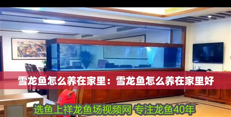 雪龍魚怎么養(yǎng)在家里：雪龍魚怎么養(yǎng)在家里好