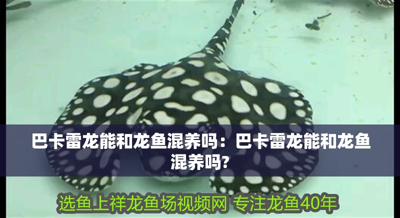 自制魚缸水循環(huán)過濾系統(tǒng)簡單方法