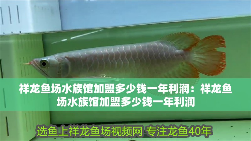 祥龍魚場(chǎng)水族館加盟多少錢一年利潤(rùn)：祥龍魚場(chǎng)水族館加盟多少錢一年利潤(rùn)
