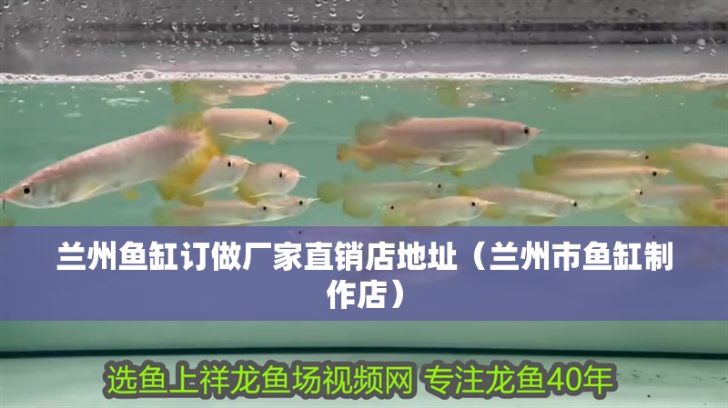 蘭州魚缸訂做廠家直銷店地址（蘭州市魚缸制作店）