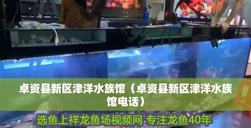 卓資縣新區津洋水族館（卓資縣新區津洋水族館電話）