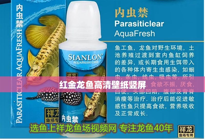 紅金龍魚(yú)高清壁紙豎屏