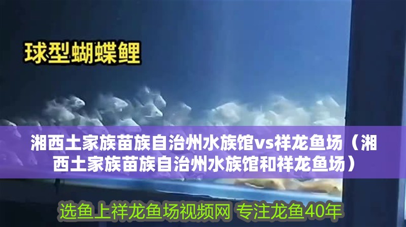 湘西土家族苗族自治州水族館vs祥龍魚場（湘西土家族苗族自治州水族館和祥龍魚場）