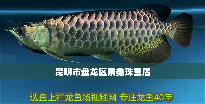 昆明市盤龍區景鑫珠寶店 全國水族館企業名錄 第2張 昆明市盤龍區景鑫珠寶店 昆明市盤龍區景鑫珠寶店 全國水族館企業名錄 第2張