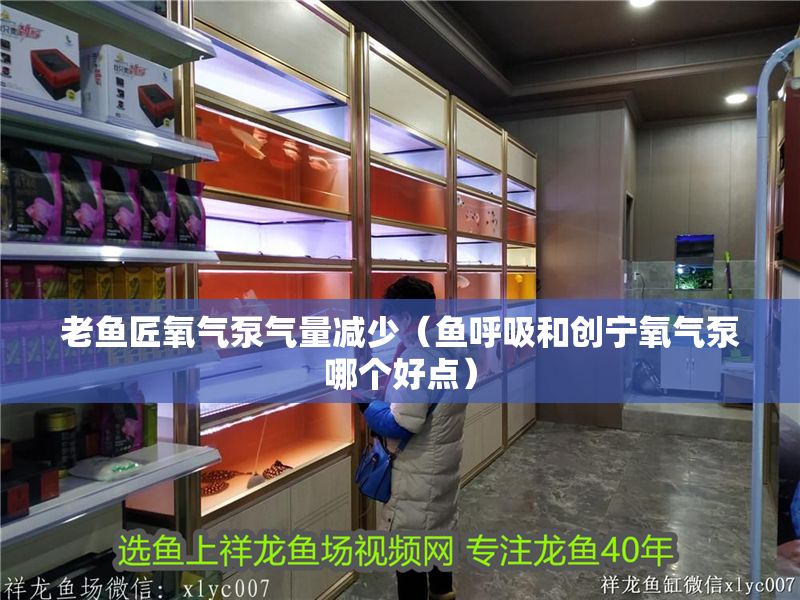 老魚匠氧氣泵氣量減少（魚呼吸和創寧氧氣泵哪個好點）