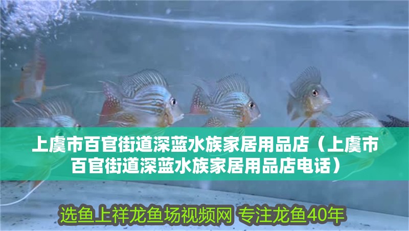 上虞市百官街道深藍水族家居用品店（上虞市百官街道深藍水族家居用品店電話）