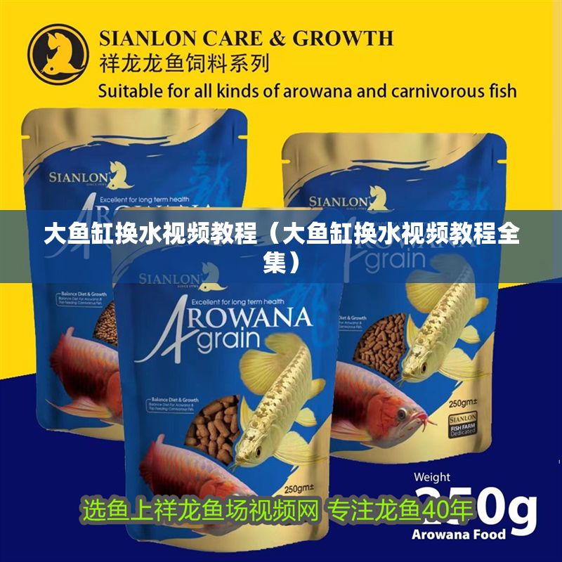 大魚缸換水視頻教程（大魚缸換水視頻教程全集）
