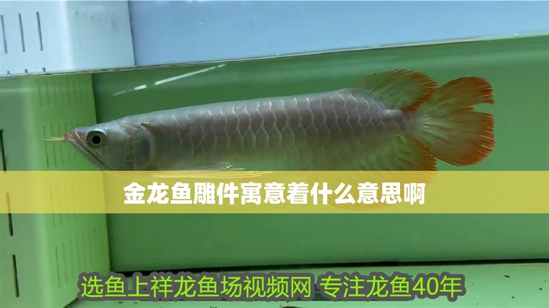 金龍魚雕件寓意著什么意思啊