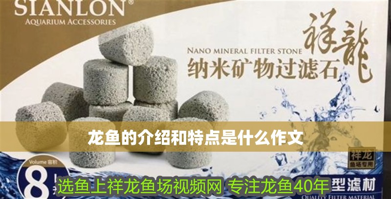 龍魚的介紹和特點是什么作文