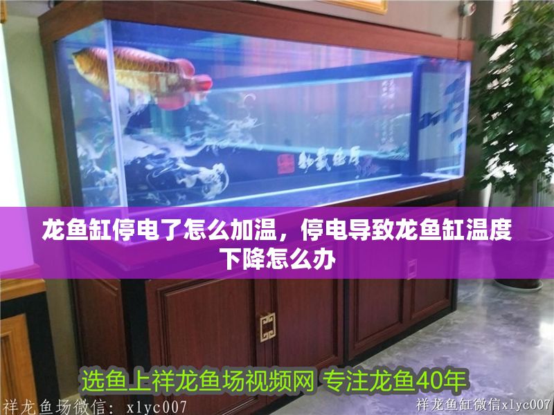 龍魚缸停電了怎么加溫，停電導致龍魚缸溫度下降怎么辦