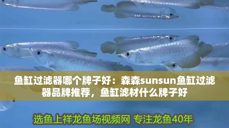 魚缸過濾器哪個牌子好：森森sunsun魚缸過濾器品牌推薦，魚缸濾材什么牌子好