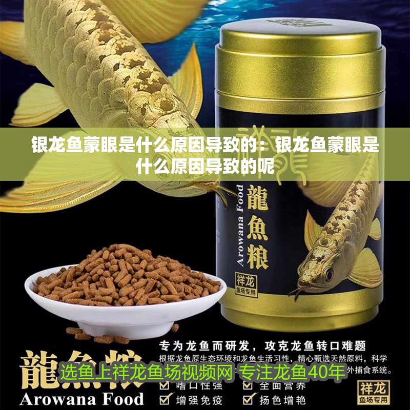 銀龍魚蒙眼是什么原因導致的：銀龍魚蒙眼是什么原因導致的呢