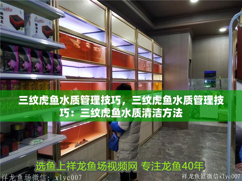 三紋虎魚水質管理技巧，三紋虎魚水質管理技巧：三紋虎魚水質清潔方法