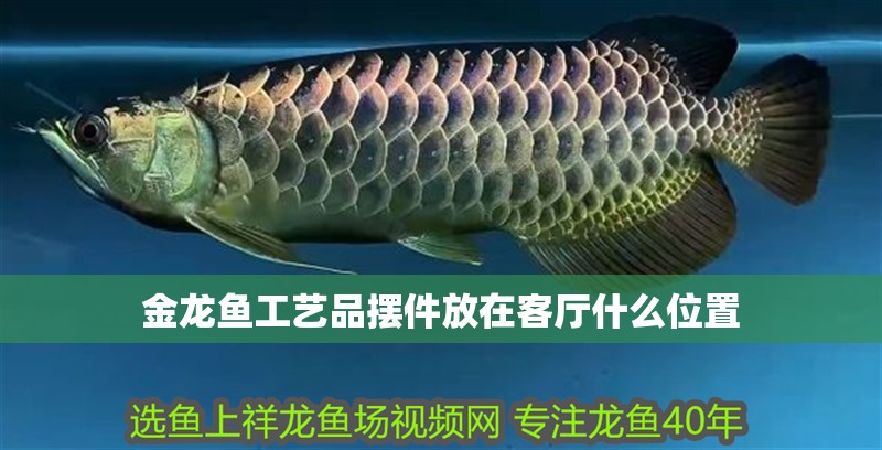 金龍魚工藝品擺件放在客廳什么位置