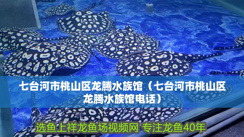 七臺河市桃山區龍騰水族館（七臺河市桃山區龍騰水族館電話）