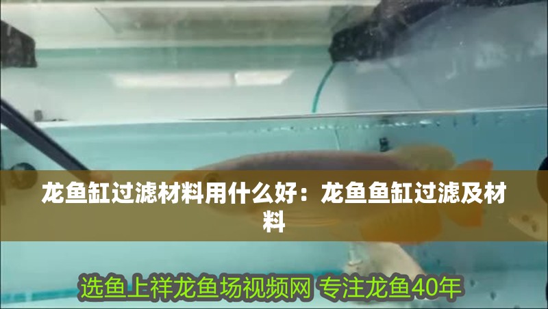 龍魚缸過濾材料用什么好：龍魚魚缸過濾及材料
