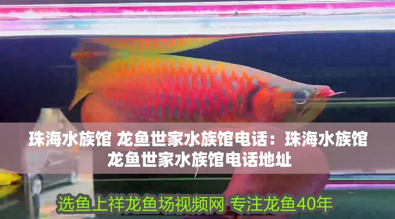<strong><mark>珠海</mark></strong>水族館 龍魚世家水族館電話：<strong><mark>珠海</mark></strong>水族館 龍魚世家水族館電話地址
