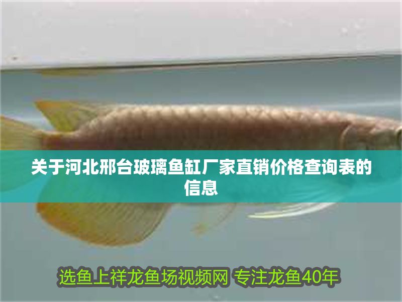 關(guān)于河北邢臺(tái)玻璃魚缸廠家直銷價(jià)格查詢表的信息