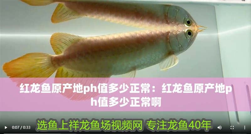 紅龍魚原產地ph值多少正常：紅龍魚原產地ph值多少正常啊