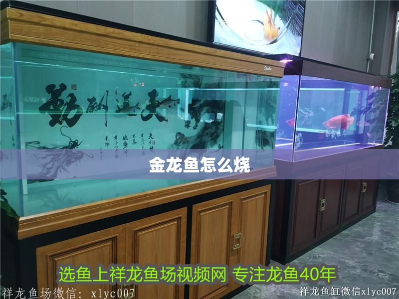 金龍魚怎么燒