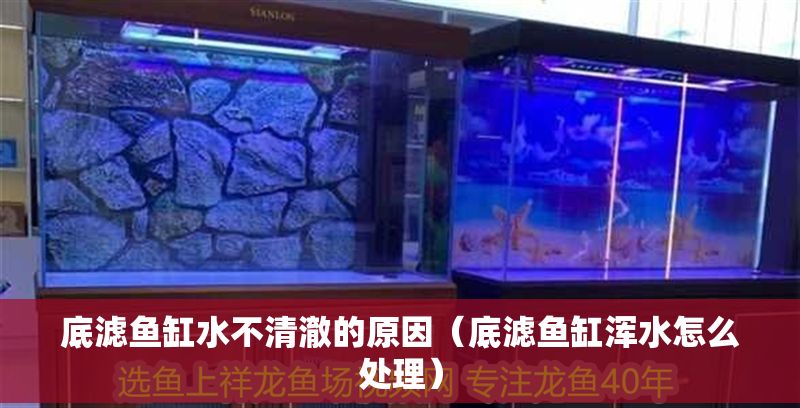 底濾魚缸水不清澈的原因（底濾魚缸渾水怎么處理）