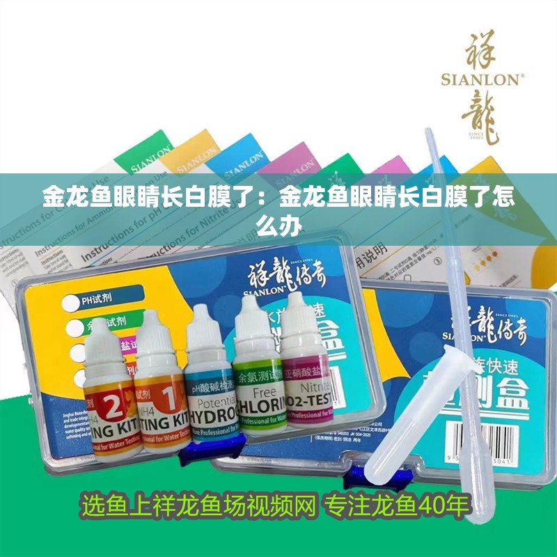 金龍魚眼睛長白膜了：金龍魚眼睛長白膜了怎么辦