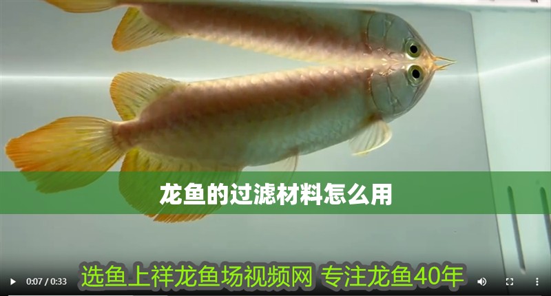 龍魚的過濾材料怎么用