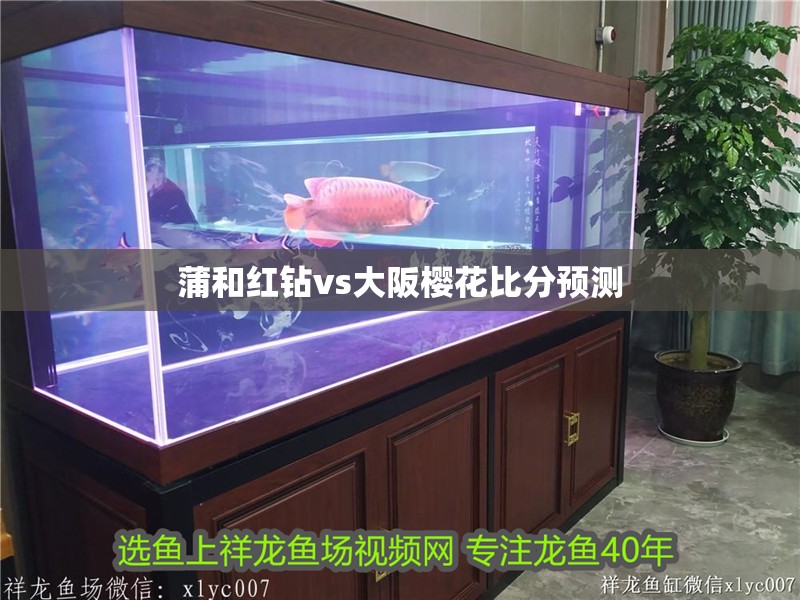 蒲和紅鉆vs大阪櫻花比分預測