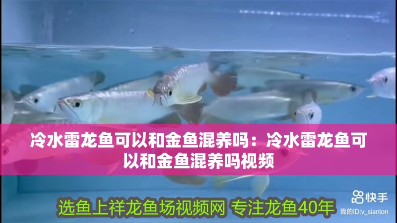 什么品牌的咖啡豆好喝(咖啡豆什么牌子好喝)