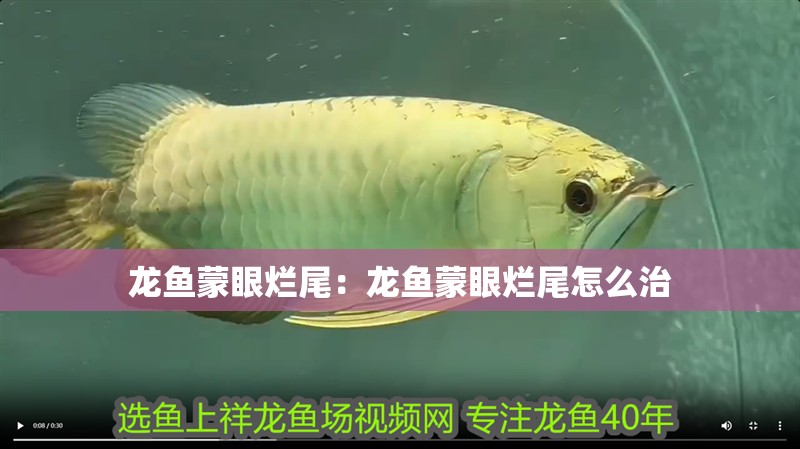 龍魚(yú)蒙眼爛尾：龍魚(yú)蒙眼爛尾怎么治