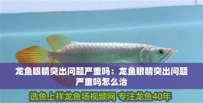 龍魚眼睛突出問題嚴重嗎：龍魚眼睛突出問題嚴重嗎怎么治