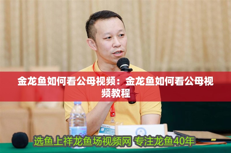 銀龍魚眼睛凸出來是怎么回事(銀龍魚一只眼睛凸出來)