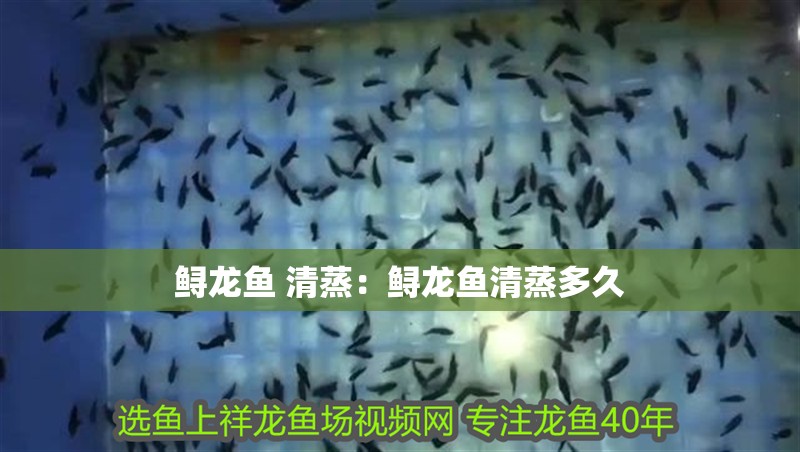 鱘龍魚 清蒸：鱘龍魚清蒸多久