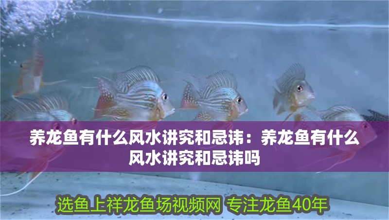 養(yǎng)龍魚有什么風(fēng)水講究和忌諱：養(yǎng)龍魚有什么風(fēng)水講究和忌諱嗎