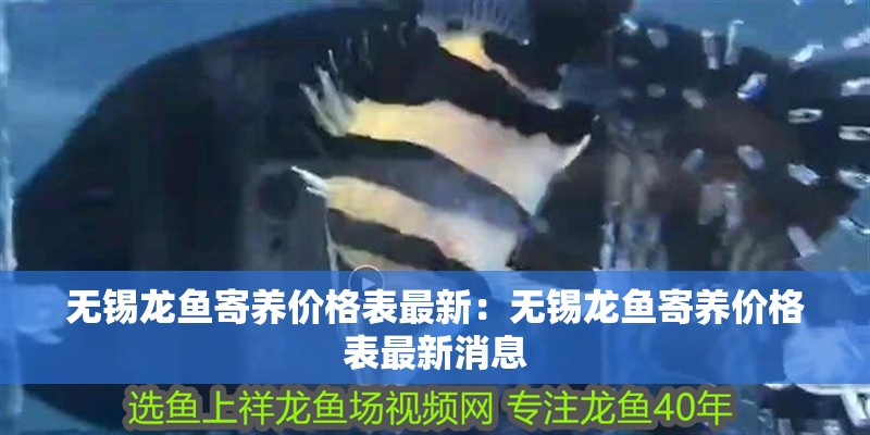 無(wú)錫龍魚(yú)寄養(yǎng)價(jià)格表最新：無(wú)錫龍魚(yú)寄養(yǎng)價(jià)格表最新消息