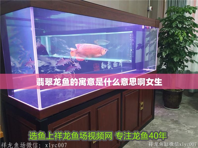 翡翠龍魚的寓意是什么意思啊女生