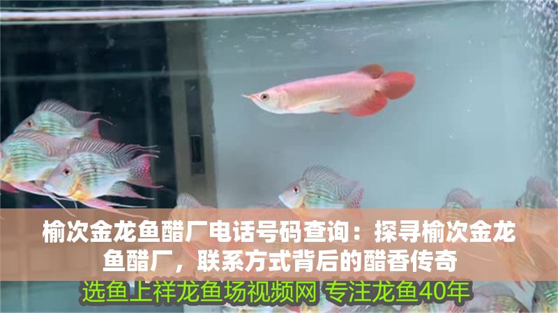 榆次金龍魚醋廠電話號碼查詢：探尋榆次金龍魚醋廠，聯(lián)系方式背后的醋香傳奇