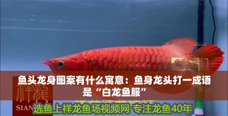 魚頭龍身圖案有什么寓意：魚身龍頭打一成語是“白龍魚服”