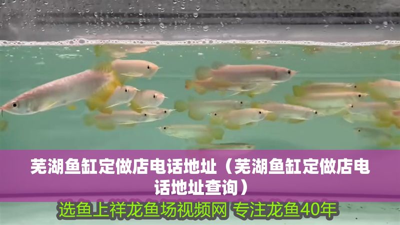 蕪湖魚缸定做店電話地址（蕪湖魚缸定做店電話地址查詢）