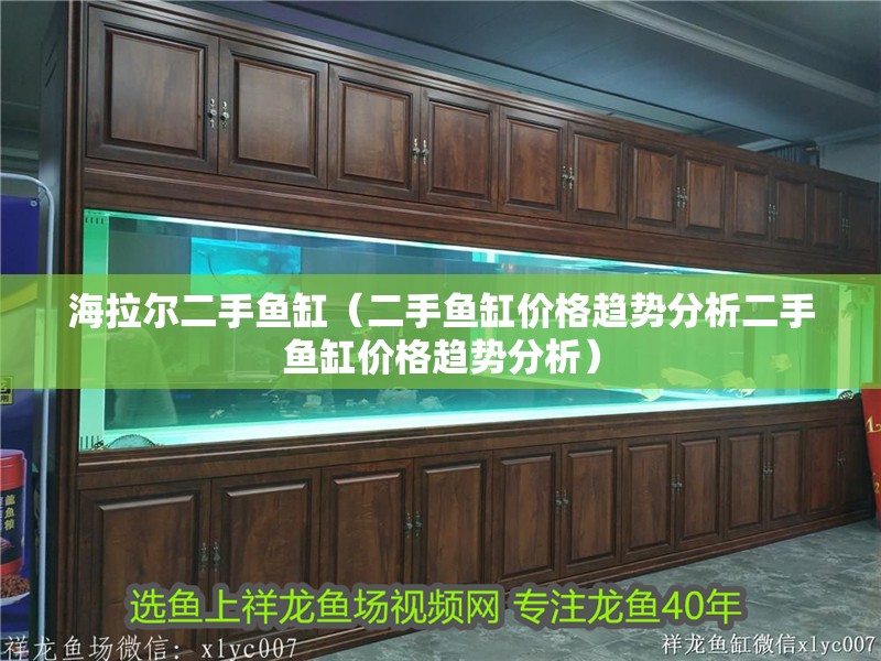 海拉爾二手魚缸（二手魚缸價(jià)格趨勢(shì)分析二手魚缸價(jià)格趨勢(shì)分析）