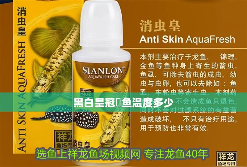 黑白皇冠魟魚溫度多少