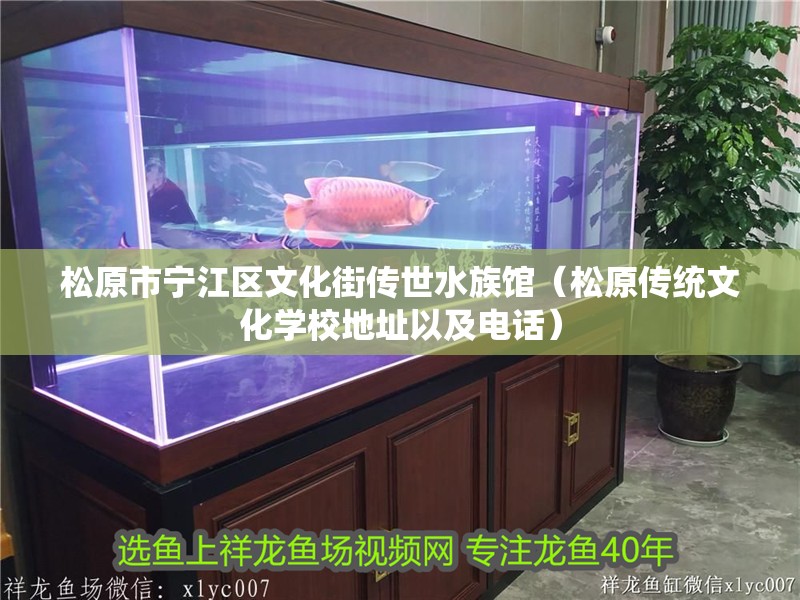 松原市寧江區(qū)文化街傳世水族館（松原傳統(tǒng)文化學(xué)校地址以及電話）