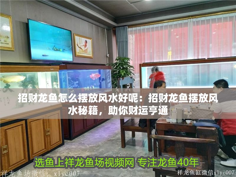 招財龍魚怎么擺放風水好呢：招財龍魚擺放風水秘籍，助你財運亨通