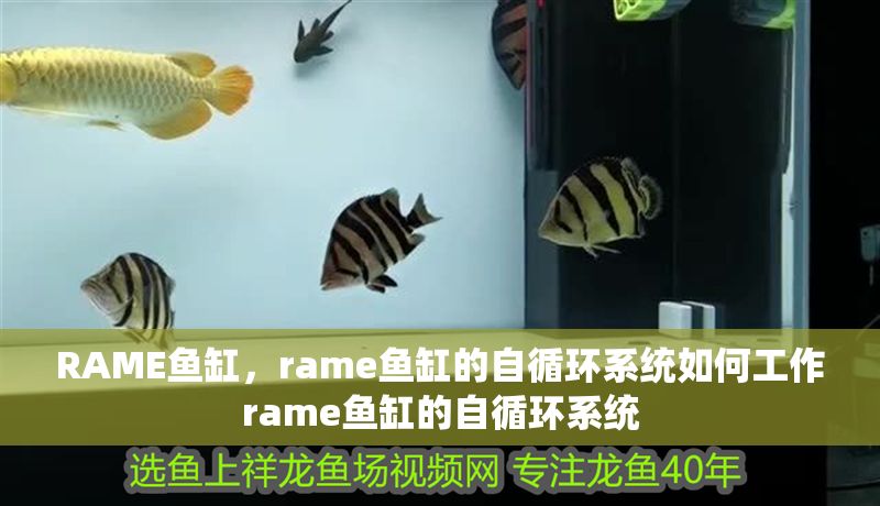 RAME魚缸，rame魚缸的自循環系統如何工作rame魚缸的自循環系統