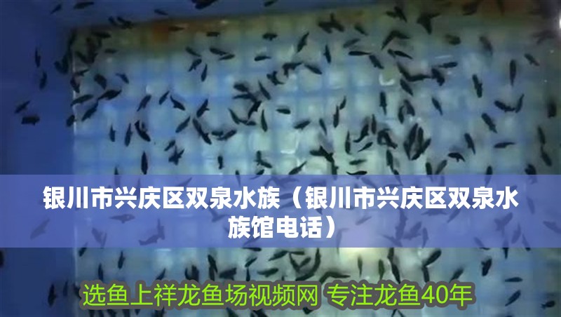 銀川市興慶區(qū)雙泉水族（銀川市興慶區(qū)雙泉水族館電話）