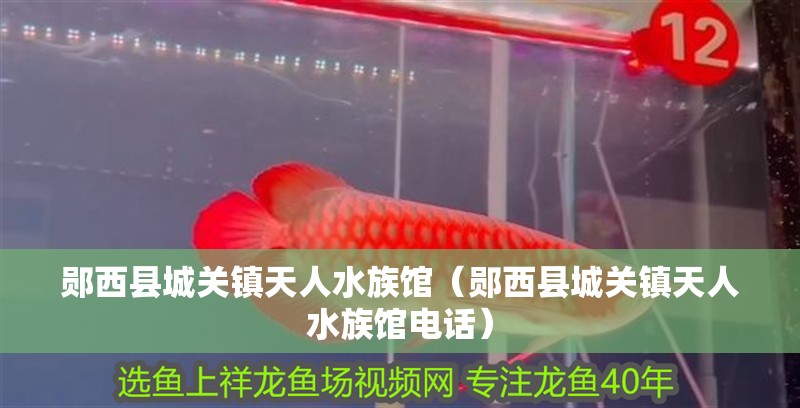 鄖西縣城關(guān)鎮(zhèn)天人水族館（鄖西縣城關(guān)鎮(zhèn)天人水族館電話）
