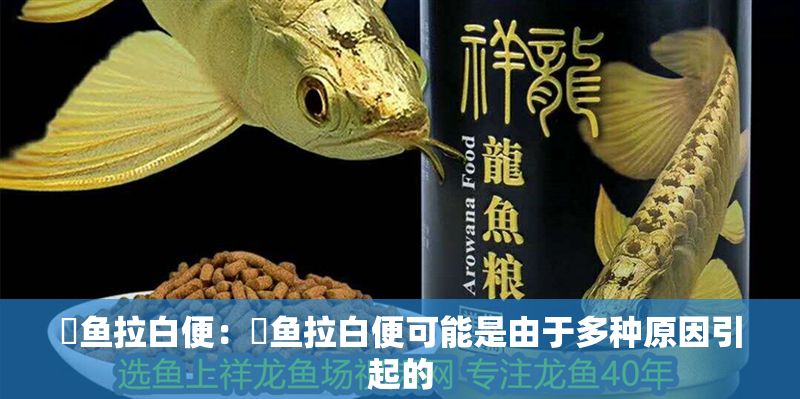 魟魚拉白便：魟魚拉白便可能是由于多種原因引起的
