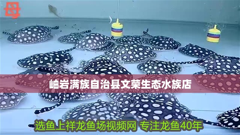 岫巖滿族自治縣文榮生態水族店