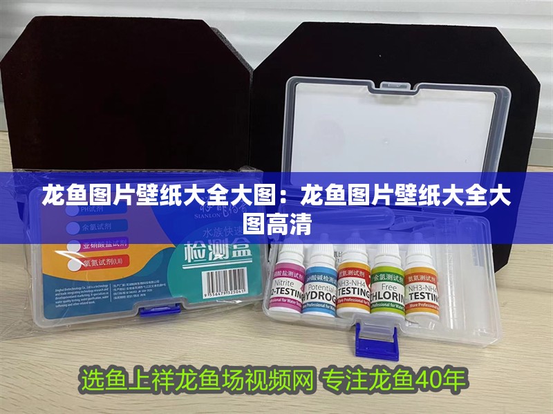 龍魚圖片壁紙大全大圖：龍魚圖片壁紙大全大圖高清